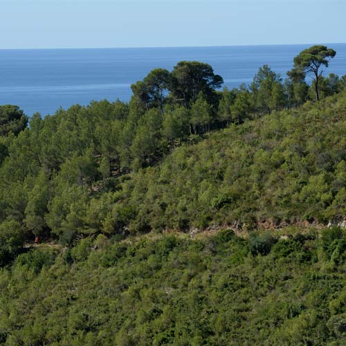 vistas-garraf