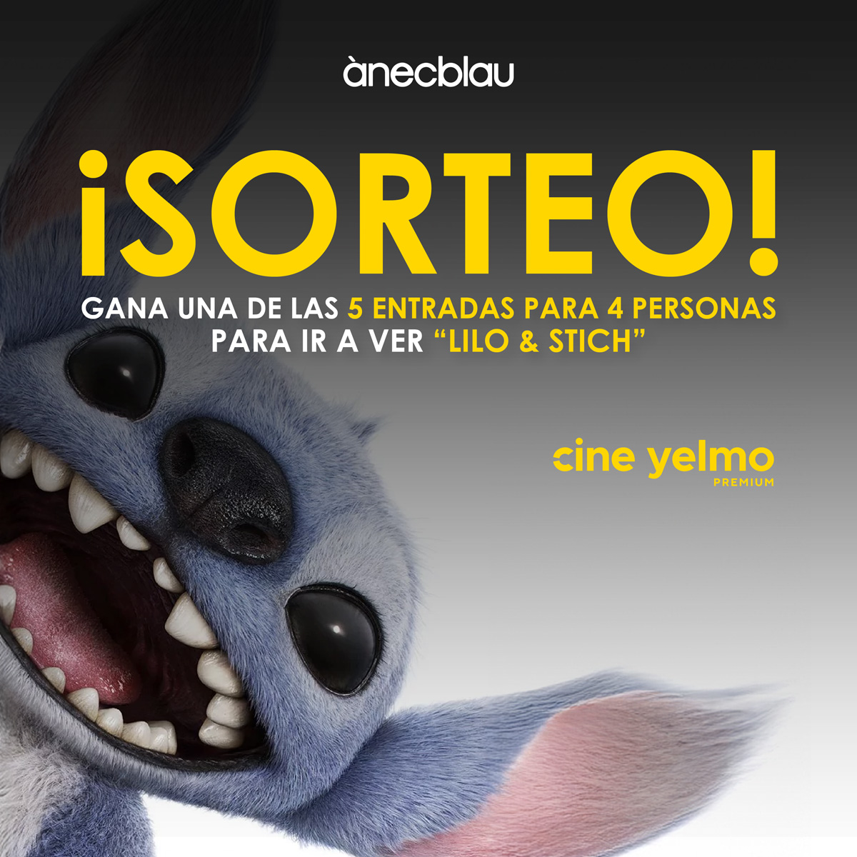 ¡LILO & STITCH TE ESPERAN!