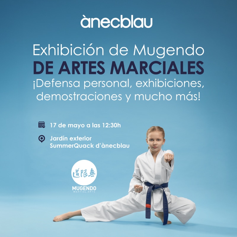 ARTES MARCIALES EN ÀNECBLAU