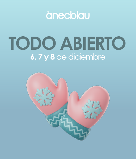 CASTanecblau-obrim-DICIEMBRE-PUENTE-07