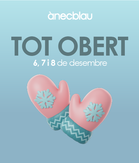 anecblau-obrim-DICIEMBRE-PUENTE-V1_BANNER mobile CAT