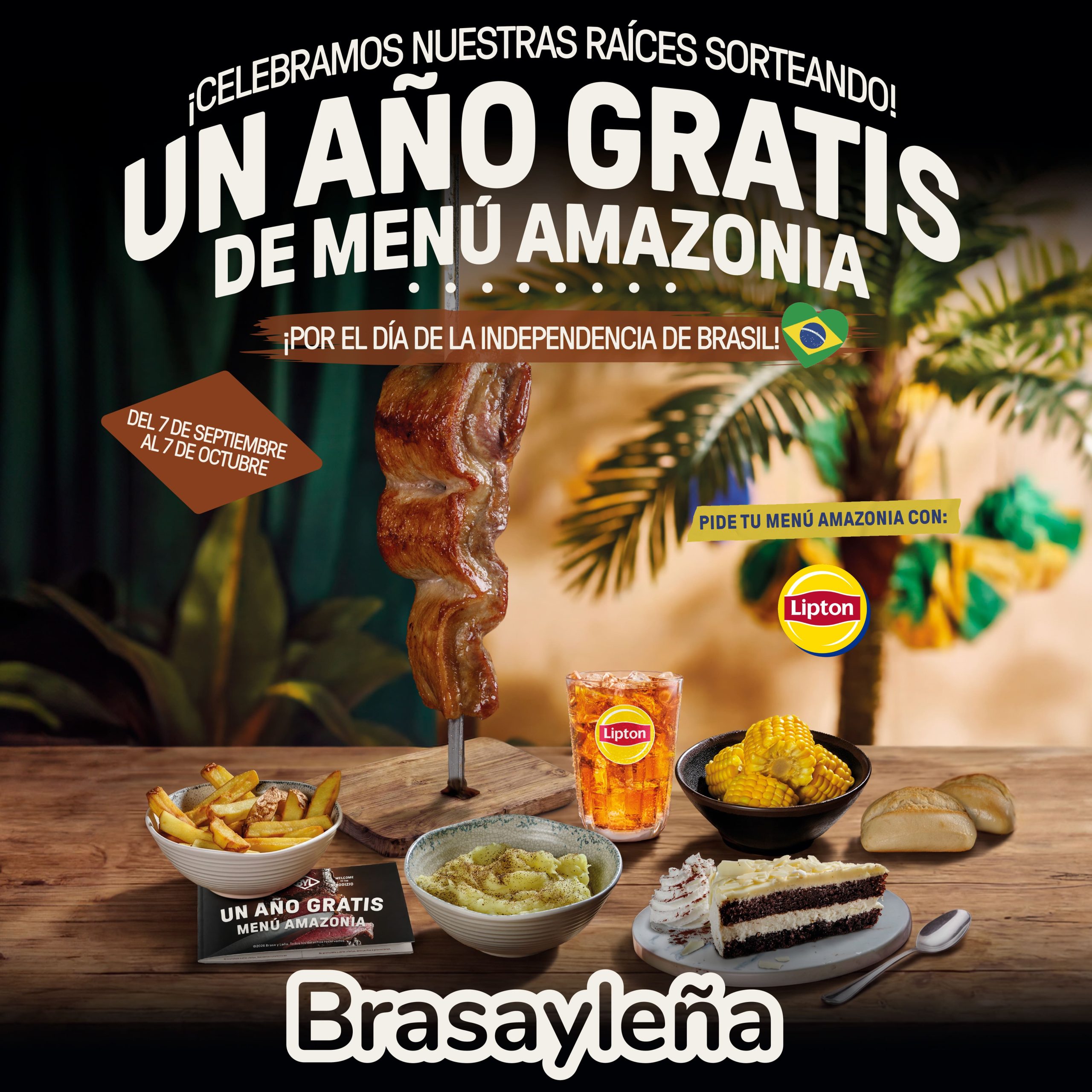 Promociones Brasayleña Portal de la Marina