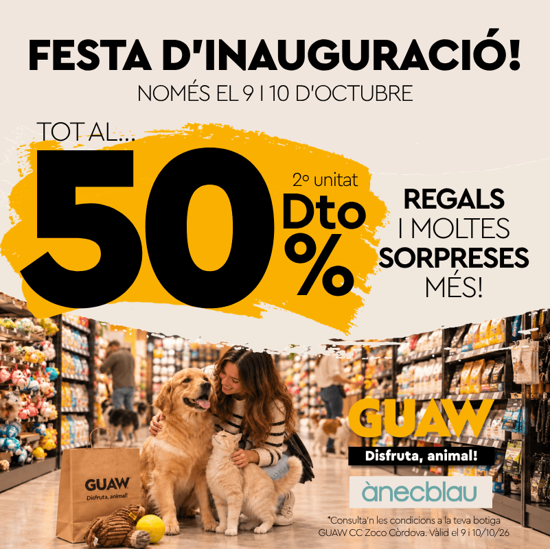 Arriba la Gran Festa d’Obertura de GUAW!